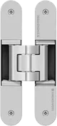 Tectus